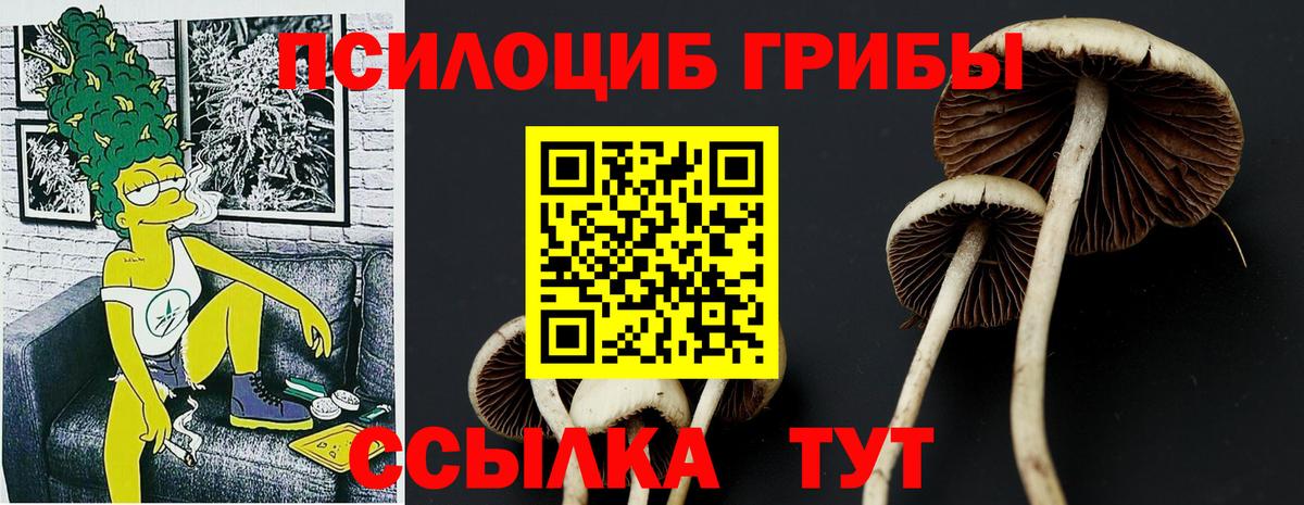 Псилоцибиновые грибы мухоморы  Вход с VPN  Гулькевичи 
