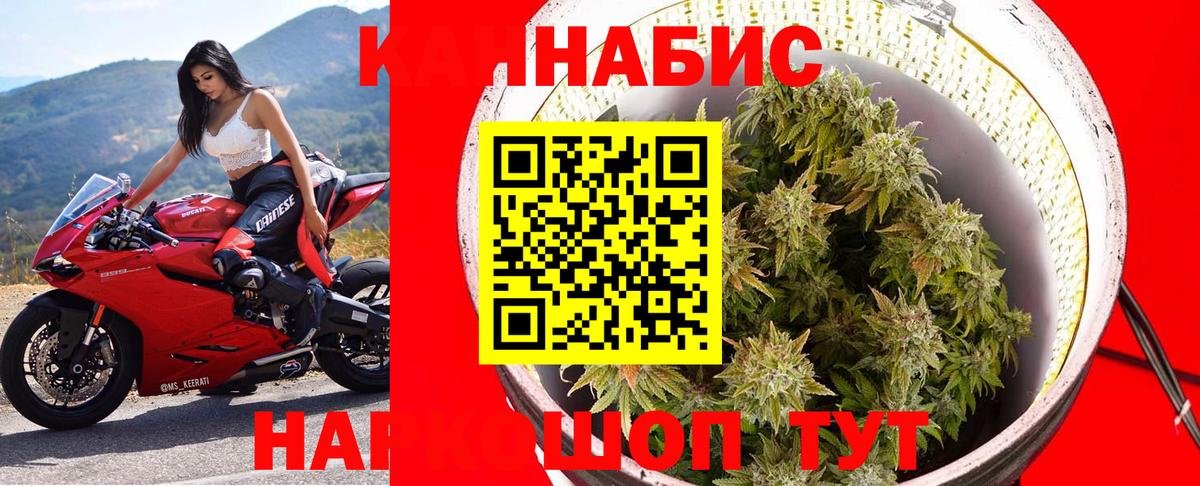 Каннабис тримм  Марихуана SATIVA & INDICA  Шишки марихуана тримм  Вход с VPN  МАРИХУАНА VHQ  Гулькевичи 